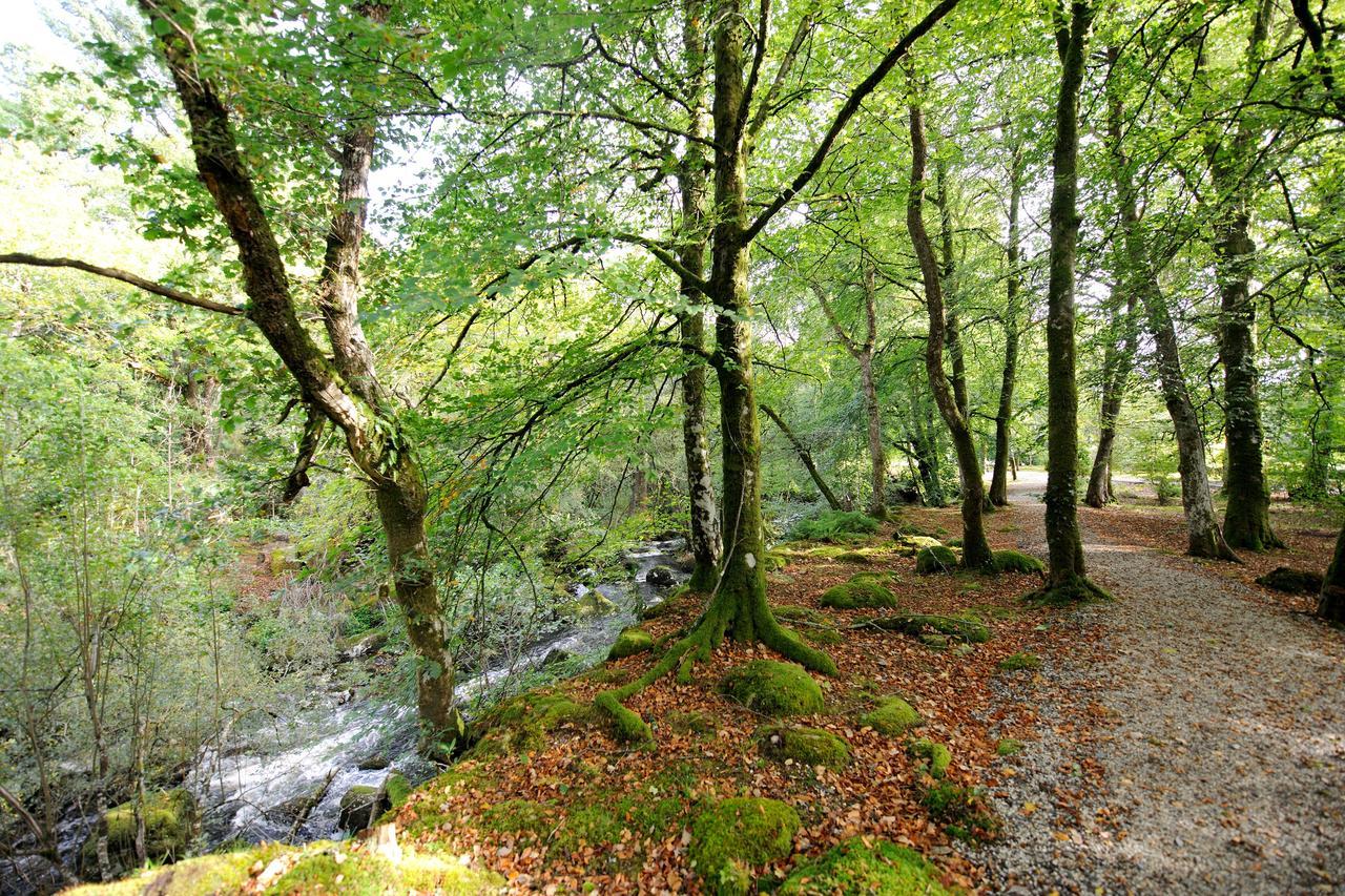 Gidleigh Park- A Relais & Chateaux Hotel تشاغفورد المظهر الخارجي الصورة